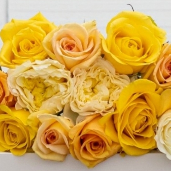 LAST DROP! Pls go Like🆕️Q&A listing🔝Closet/Receive Group Notices/Sat DownSouth - Picture 9 of 16